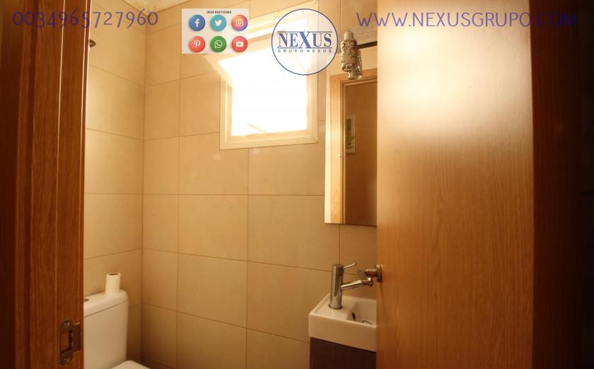 REAL ESTATE, NEXUS GROUP, RENT A GROUND FLOOR APARTMENT FOR THE WHOLE YEAR, ALICANTE STREET in Nexus Grupo