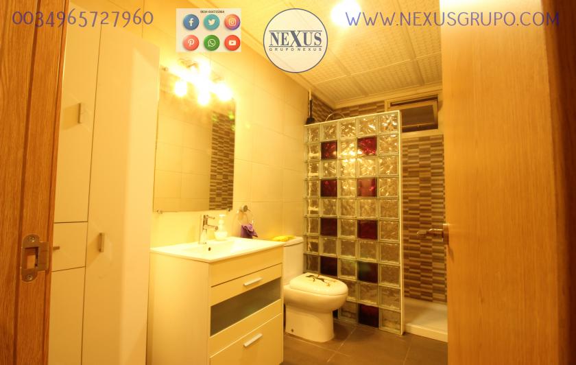 REAL ESTATE, NEXUS GROUP, RENT A GROUND FLOOR APARTMENT FOR THE WHOLE YEAR, ALICANTE STREET in Nexus Grupo