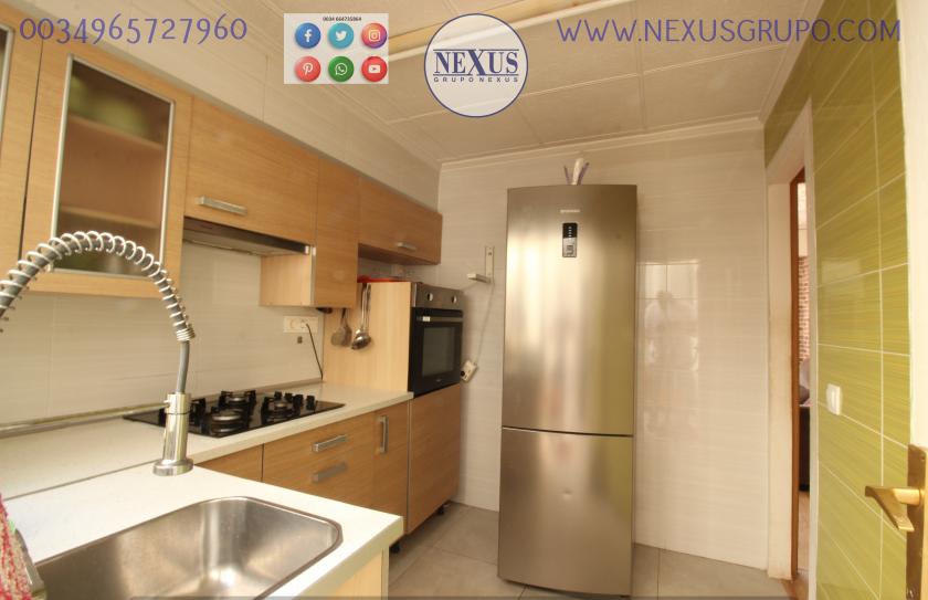 REAL ESTATE, NEXUS GROUP, RENT A GROUND FLOOR APARTMENT FOR THE WHOLE YEAR, ALICANTE STREET in Nexus Grupo