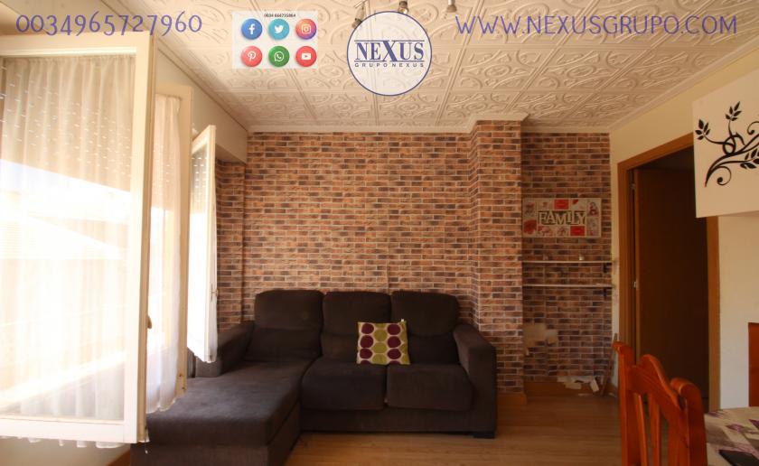 REAL ESTATE, NEXUS GROUP, RENT A GROUND FLOOR APARTMENT FOR THE WHOLE YEAR, ALICANTE STREET in Nexus Grupo