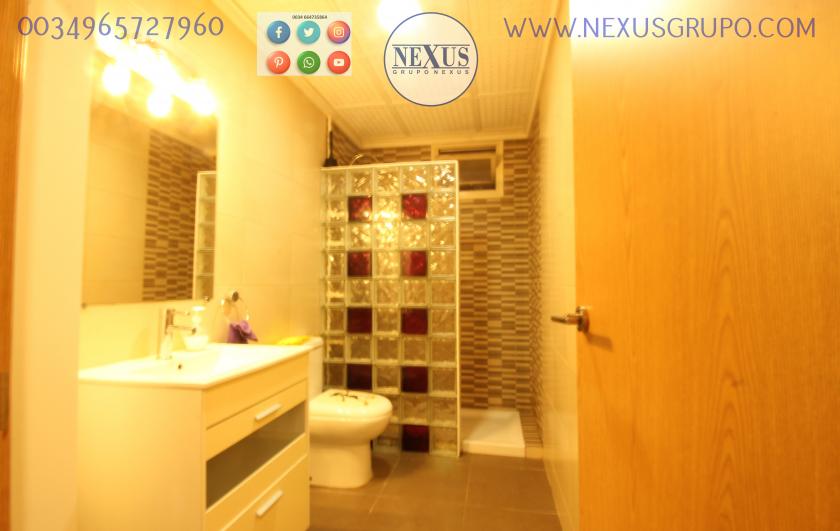 REAL ESTATE, NEXUS GROUP, RENT A GROUND FLOOR APARTMENT FOR THE WHOLE YEAR, ALICANTE STREET in Nexus Grupo