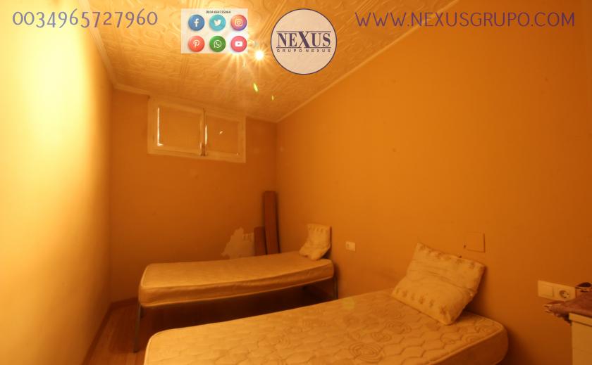 REAL ESTATE, NEXUS GROUP, RENT A GROUND FLOOR APARTMENT FOR THE WHOLE YEAR, ALICANTE STREET in Nexus Grupo