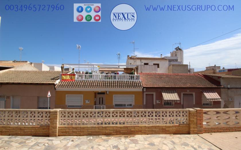 REAL ESTATE, NEXUS GROUP, RENT A GROUND FLOOR APARTMENT FOR THE WHOLE YEAR, ALICANTE STREET in Nexus Grupo