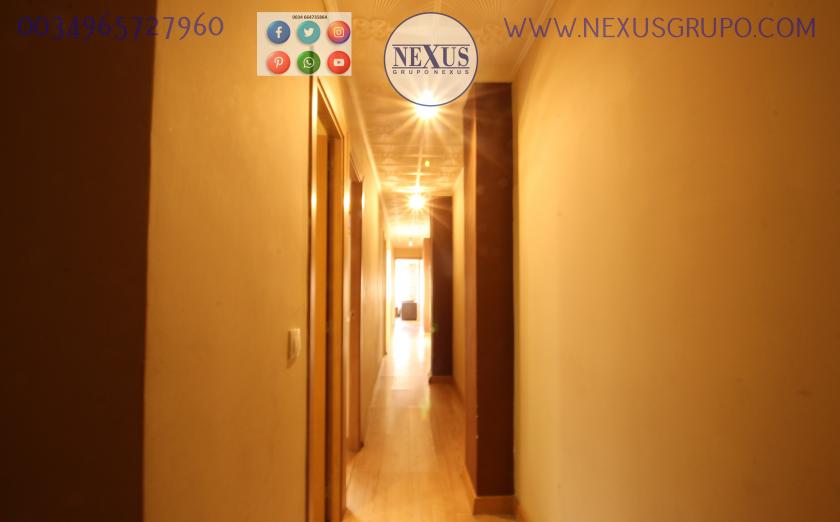 REAL ESTATE, NEXUS GROUP, RENT A GROUND FLOOR APARTMENT FOR THE WHOLE YEAR, ALICANTE STREET in Nexus Grupo