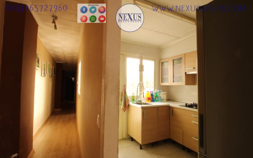 REAL ESTATE, NEXUS GROUP, RENT A GROUND FLOOR APARTMENT FOR THE WHOLE YEAR, ALICANTE STREET in Nexus Grupo