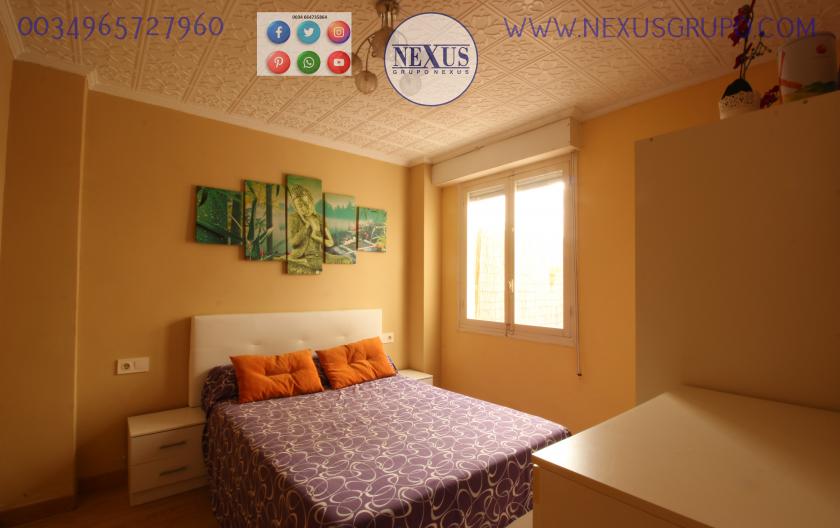 REAL ESTATE, NEXUS GROUP, RENT A GROUND FLOOR APARTMENT FOR THE WHOLE YEAR, ALICANTE STREET in Nexus Grupo