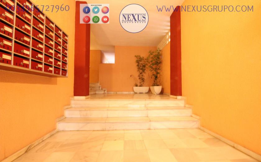 INMOBILIARIA, NEXUS GROUP RENTES APARTMENT FOR THE WHOLE YEAR IN CALLE ARENAS in Nexus Grupo