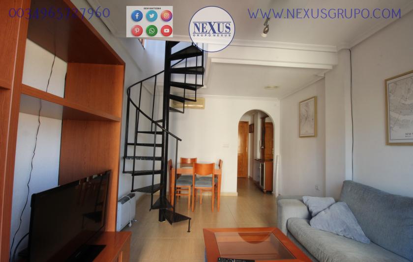 INMOBILIARIA, GRUPO NEXUS, ALQUILA PISO ÁTICO DÚPLEX, PARA TODO EL AÑO, CALLE SANCHIS GUARNER! in Nexus Grupo