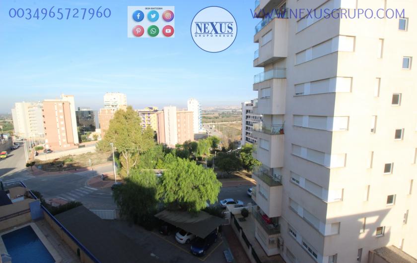 INMOBILIARIA, GRUPO NEXUS, ALQUILA PISO ÁTICO DÚPLEX, PARA TODO EL AÑO, CALLE SANCHIS GUARNER! in Nexus Grupo