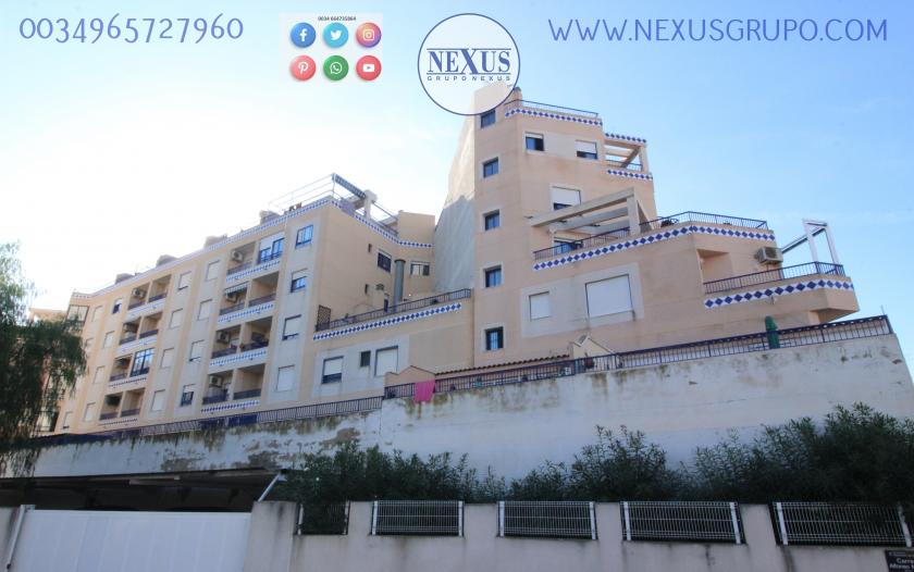 INMOBILIARIA, GRUPO NEXUS, ALQUILA PISO ÁTICO DÚPLEX, PARA TODO EL AÑO, CALLE SANCHIS GUARNER! in Nexus Grupo