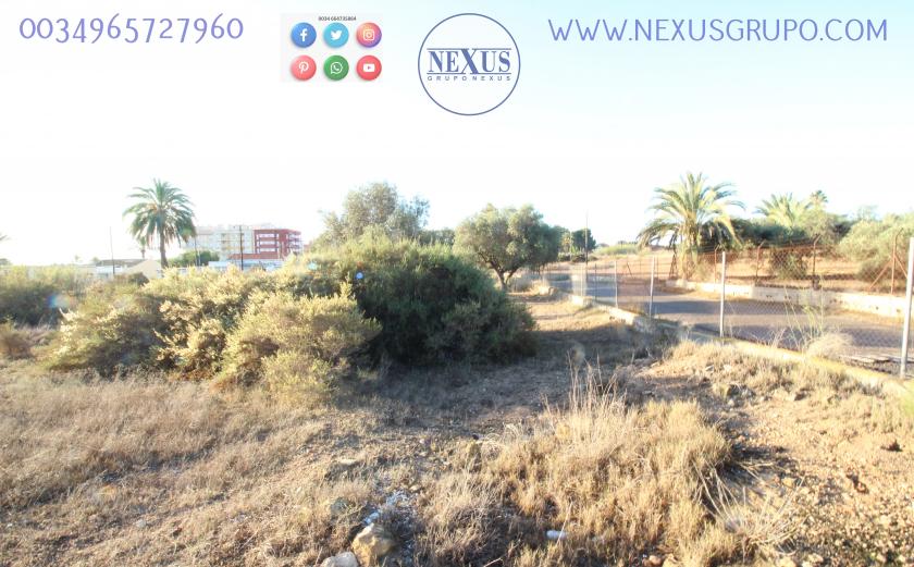 CASA DE CAMPO CON TERRENO EN LA AVENIDA DE LAS SALINAS, (LA MARINA, ELCHE) in Nexus Grupo