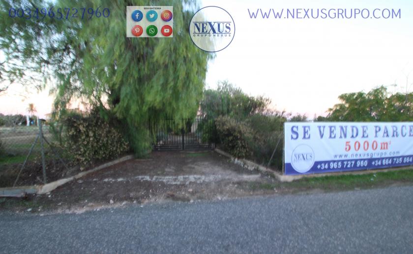 COUNTRY HOUSE WITH LAND IN LAS SALINAS AVENUE, ( LA MARINA, ELCHE) in Nexus Grupo