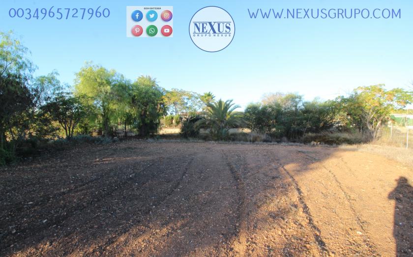 COUNTRY HOUSE WITH LAND IN LAS SALINAS AVENUE, ( LA MARINA, ELCHE) in Nexus Grupo