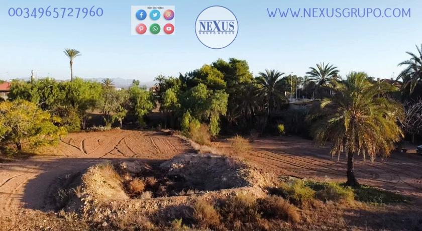 COUNTRY HOUSE WITH LAND IN LAS SALINAS AVENUE, ( LA MARINA, ELCHE) in Nexus Grupo