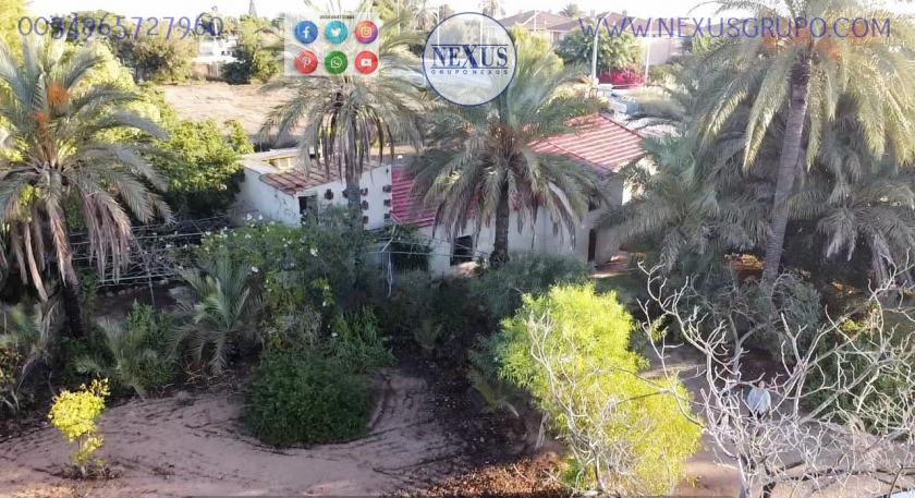 COUNTRY HOUSE WITH LAND IN LAS SALINAS AVENUE, ( LA MARINA, ELCHE) in Nexus Grupo