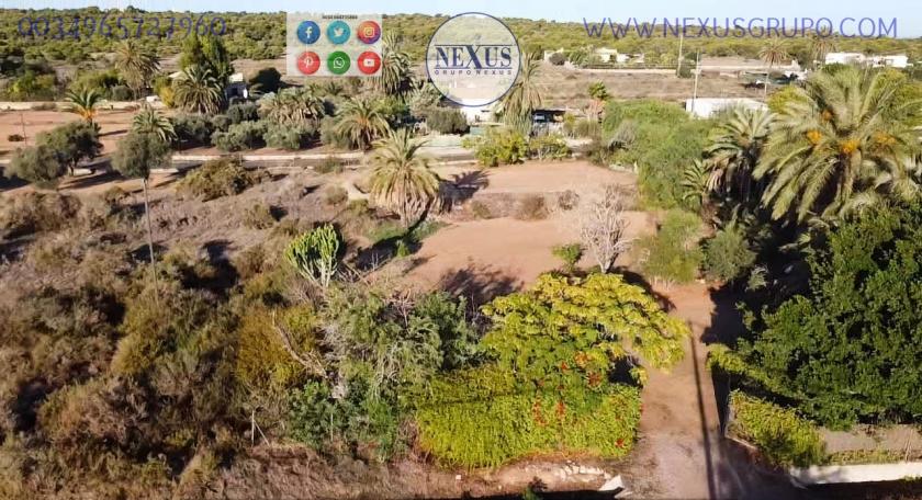 CASA DE CAMPO CON TERRENO EN LA AVENIDA DE LAS SALINAS, (LA MARINA, ELCHE) in Nexus Grupo