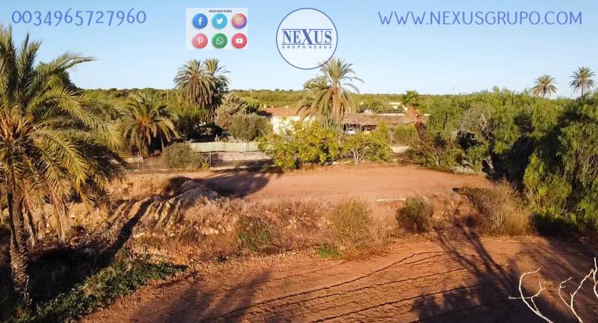 COUNTRY HOUSE WITH LAND IN LAS SALINAS AVENUE, ( LA MARINA, ELCHE) in Nexus Grupo