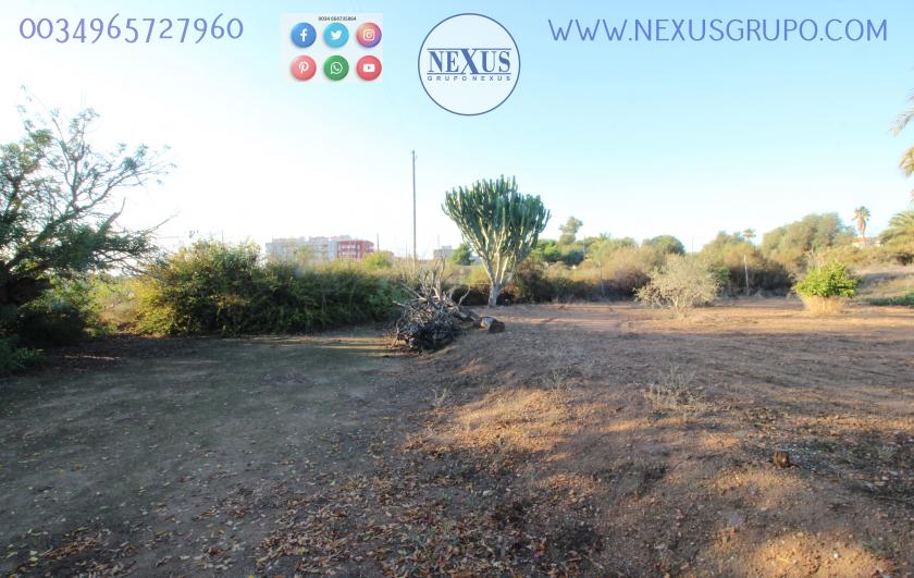 COUNTRY HOUSE WITH LAND IN LAS SALINAS AVENUE, ( LA MARINA, ELCHE) in Nexus Grupo