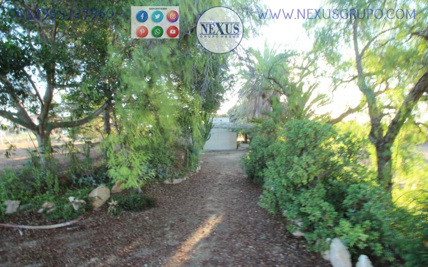 COUNTRY HOUSE WITH LAND IN LAS SALINAS AVENUE, ( LA MARINA, ELCHE) in Nexus Grupo