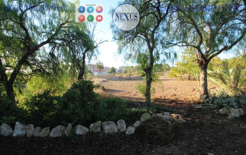 COUNTRY HOUSE WITH LAND IN LAS SALINAS AVENUE, ( LA MARINA, ELCHE) in Nexus Grupo