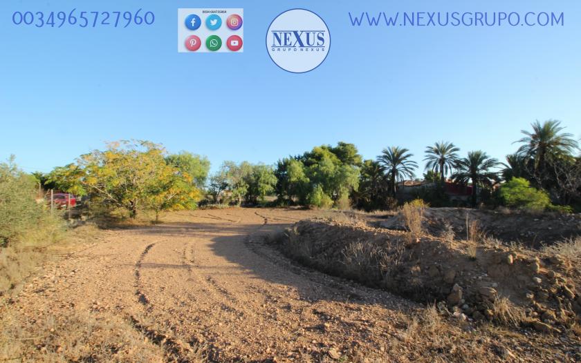 COUNTRY HOUSE WITH LAND IN LAS SALINAS AVENUE, ( LA MARINA, ELCHE) in Nexus Grupo