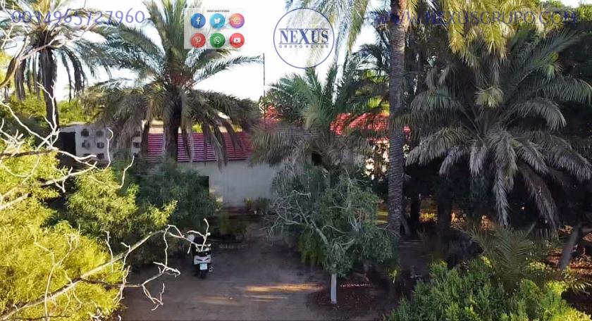 COUNTRY HOUSE WITH LAND IN LAS SALINAS AVENUE, ( LA MARINA, ELCHE) in Nexus Grupo