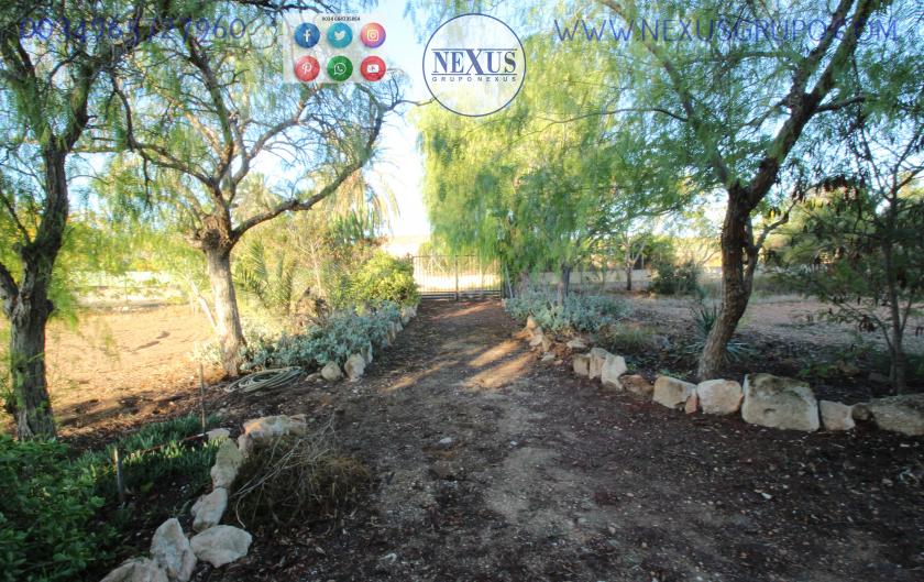 COUNTRY HOUSE WITH LAND IN LAS SALINAS AVENUE, ( LA MARINA, ELCHE) in Nexus Grupo