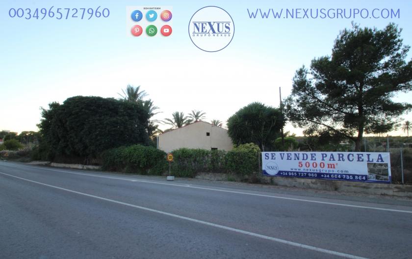 COUNTRY HOUSE WITH LAND IN LAS SALINAS AVENUE, ( LA MARINA, ELCHE) in Nexus Grupo
