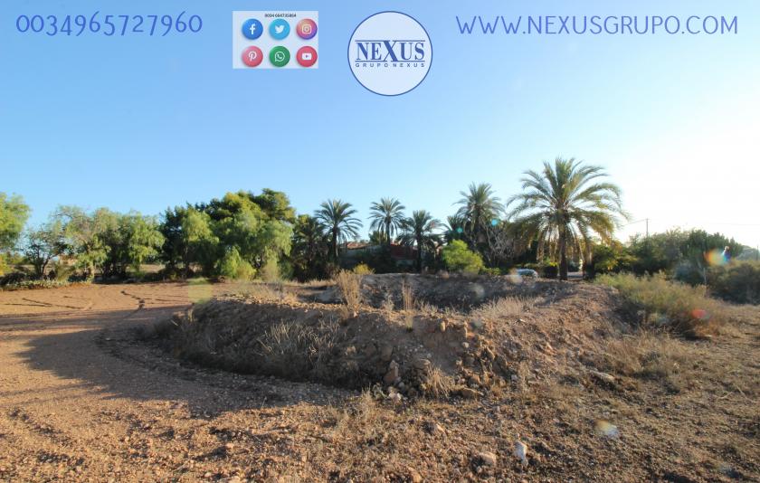 COUNTRY HOUSE WITH LAND IN LAS SALINAS AVENUE, ( LA MARINA, ELCHE) in Nexus Grupo