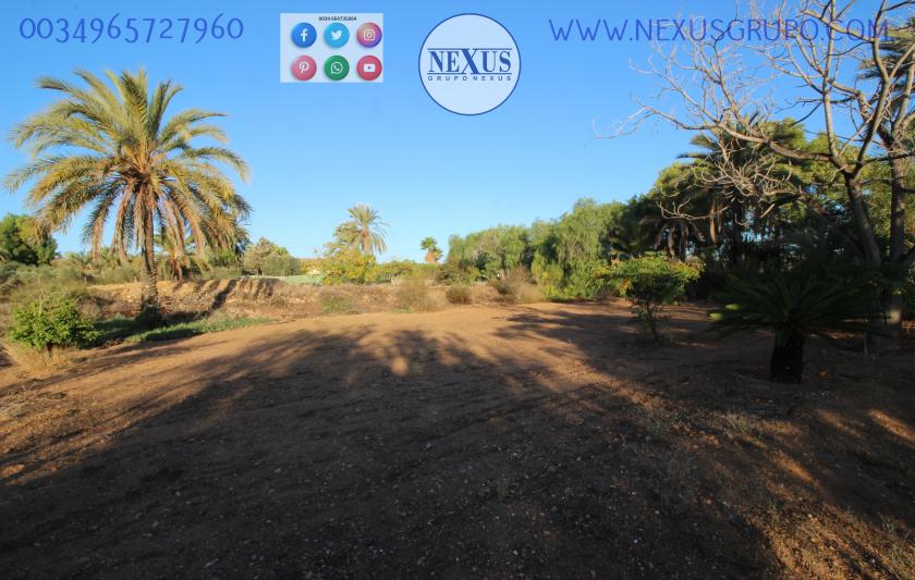 CASA DE CAMPO CON TERRENO EN LA AVENIDA DE LAS SALINAS, (LA MARINA, ELCHE) in Nexus Grupo