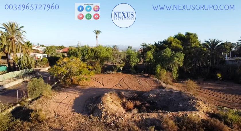 COUNTRY HOUSE WITH LAND IN LAS SALINAS AVENUE, ( LA MARINA, ELCHE) in Nexus Grupo