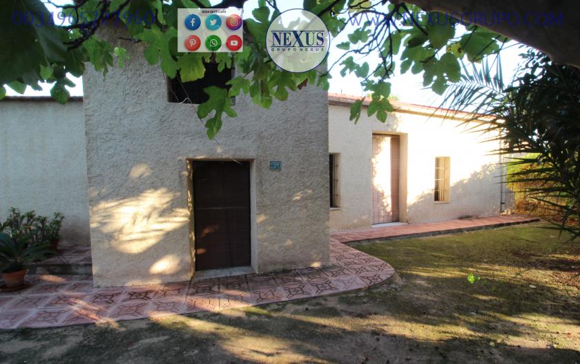 COUNTRY HOUSE WITH LAND IN LAS SALINAS AVENUE, ( LA MARINA, ELCHE) in Nexus Grupo