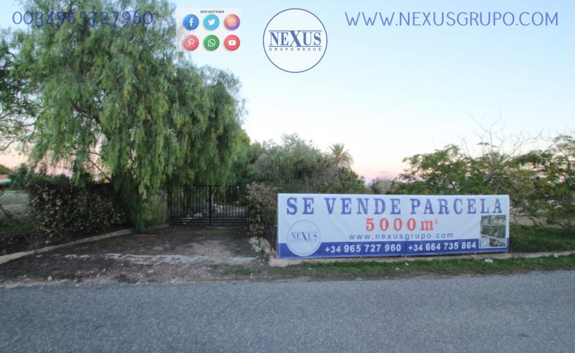 COUNTRY HOUSE WITH LAND IN LAS SALINAS AVENUE, ( LA MARINA, ELCHE) in Nexus Grupo