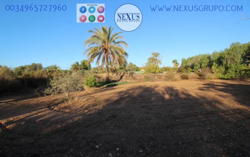 COUNTRY HOUSE WITH LAND IN LAS SALINAS AVENUE, ( LA MARINA, ELCHE) in Nexus Grupo