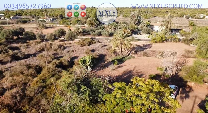 COUNTRY HOUSE WITH LAND IN LAS SALINAS AVENUE, ( LA MARINA, ELCHE) in Nexus Grupo