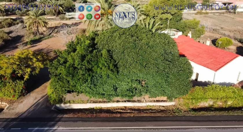 COUNTRY HOUSE WITH LAND IN LAS SALINAS AVENUE, ( LA MARINA, ELCHE) in Nexus Grupo