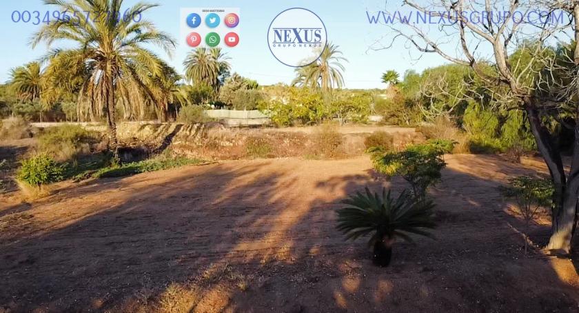 COUNTRY HOUSE WITH LAND IN LAS SALINAS AVENUE, ( LA MARINA, ELCHE) in Nexus Grupo