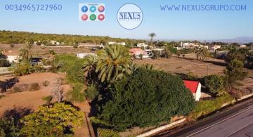 COUNTRY HOUSE WITH LAND IN LAS SALINAS AVENUE, ( LA MARINA, ELCHE) in Nexus Grupo