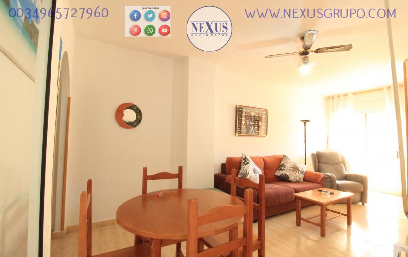 INMOBILIARIA GRUPO NEXUS, RENT A FLOOR FOR THE WHOLE YEAR, AVENIDA DEL MEDITERRANEO in Nexus Grupo