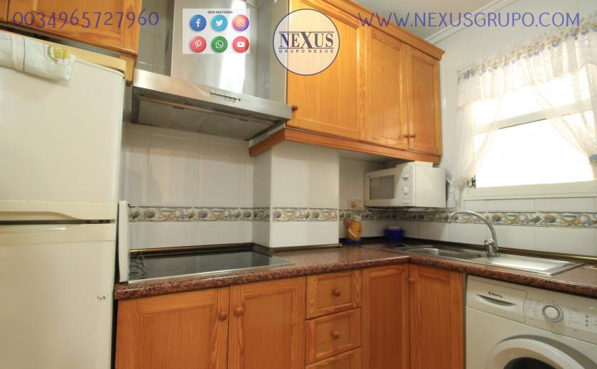 INMOBILIARIA GRUPO NEXUS, RENT A FLOOR FOR THE WHOLE YEAR, AVENIDA DEL MEDITERRANEO in Nexus Grupo