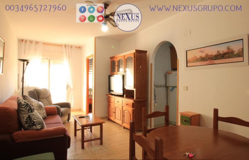 INMOBILIARIA GRUPO NEXUS, RENT A FLOOR FOR THE WHOLE YEAR, AVENIDA DEL MEDITERRANEO in Nexus Grupo