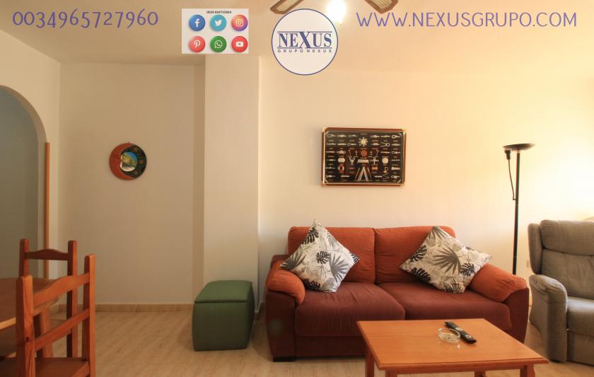 INMOBILIARIA GRUPO NEXUS, HUUR EEN VLOER VOOR HET HELE JAAR, AVENIDA DEL MEDITERRANEO in Nexus Grupo