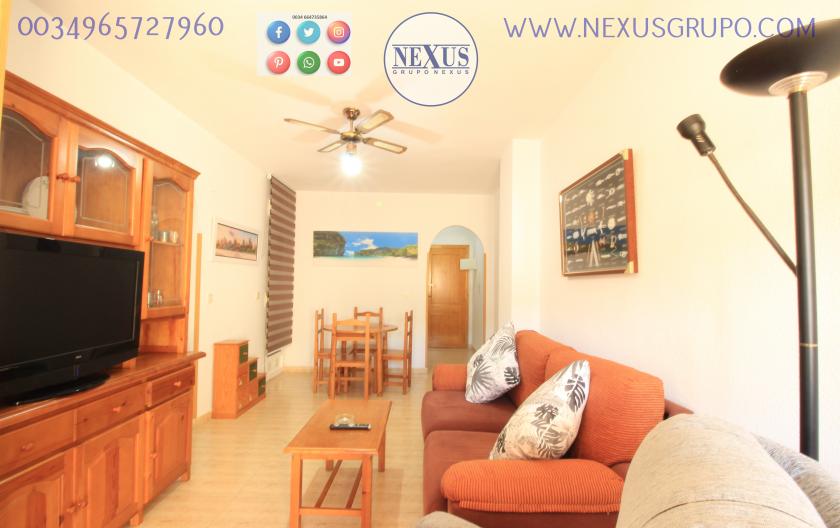 INMOBILIARIA GRUPO NEXUS, RENT A FLOOR FOR THE WHOLE YEAR, AVENIDA DEL MEDITERRANEO in Nexus Grupo