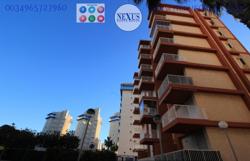 REAL ESTATE, GRUPO NEXUS, RENT APARTMENT FOR THE WHOLE YEAR AVENIDA DEL PUERTO in Nexus Grupo