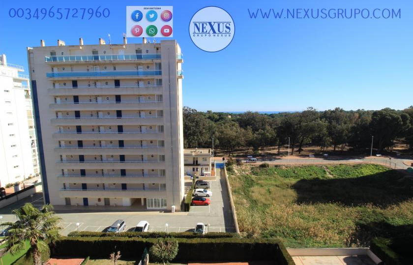 REAL ESTATE, GRUPO NEXUS, RENT APARTMENT FOR THE WHOLE YEAR AVENIDA DEL PUERTO in Nexus Grupo