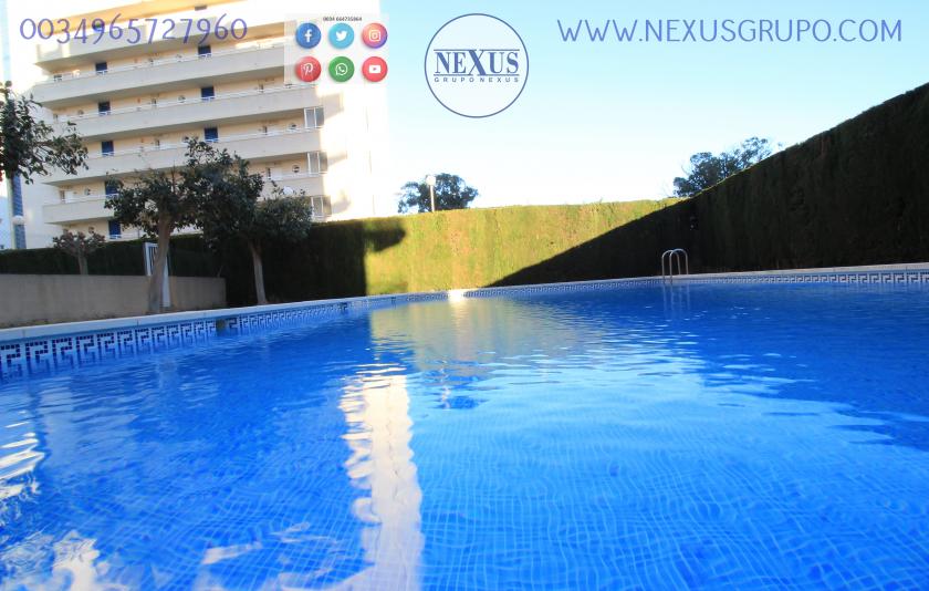 REAL ESTATE, GRUPO NEXUS, RENT APARTMENT FOR THE WHOLE YEAR AVENIDA DEL PUERTO in Nexus Grupo