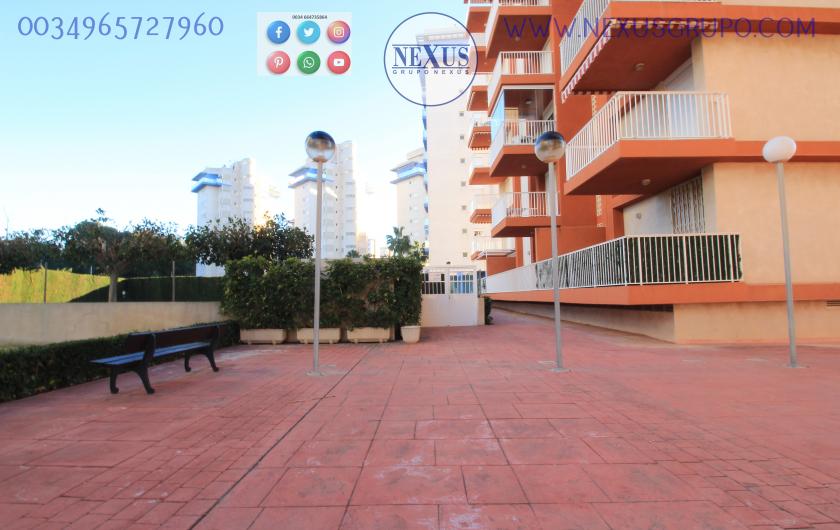 REAL ESTATE, GRUPO NEXUS, RENT APARTMENT FOR THE WHOLE YEAR AVENIDA DEL PUERTO in Nexus Grupo