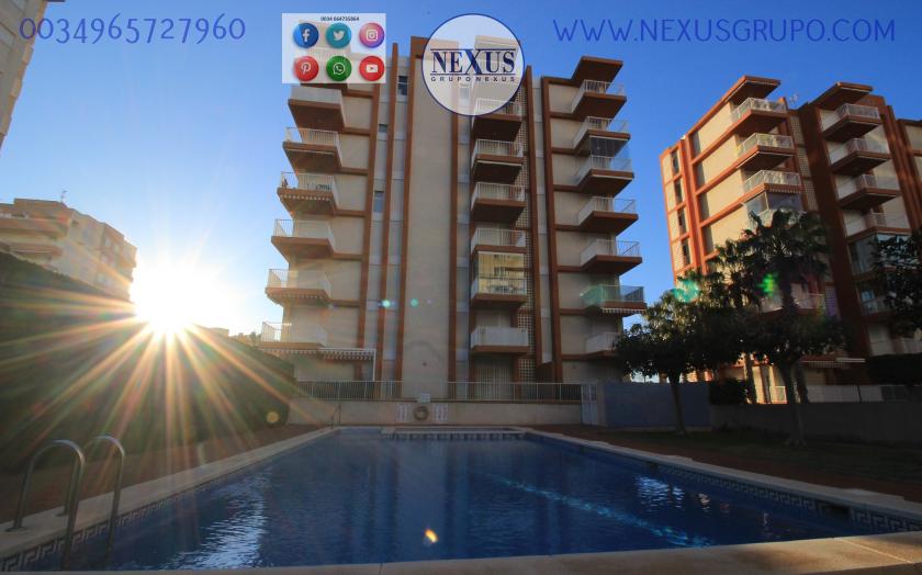 REAL ESTATE, GRUPO NEXUS, RENT APARTMENT FOR THE WHOLE YEAR AVENIDA DEL PUERTO in Nexus Grupo