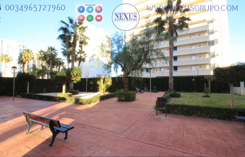 REAL ESTATE, GRUPO NEXUS, RENT APARTMENT FOR THE WHOLE YEAR AVENIDA DEL PUERTO in Nexus Grupo