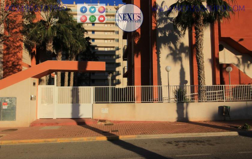 INMOBILIARIA, GRUPO NEXUS, ALQUILA PISO PARA TODO EL AÑO AVENIDA DEL PUERTO in Nexus Grupo